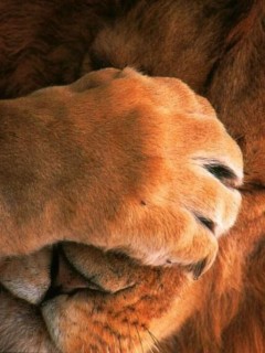 Other Wallpapers 0580